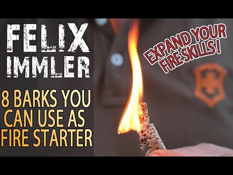 8 Tree Barks you can use as Fire Starter - unknown natural fire accelerants - expand your knowledge