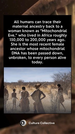 All humans can trace their maternal ancestry back to a woman known as ‘Mitochondrial Eve.’ 🌍 She lived in Africa between 150,000 and 200,000 years ago, and her mitochondrial DNA is the only one that has been passed down, unbroken, to every person alive today. A beautiful reminder of our shared origin. 💫 #HumanAncestry #MitochondrialEve #WeAreOne | Culture Collective