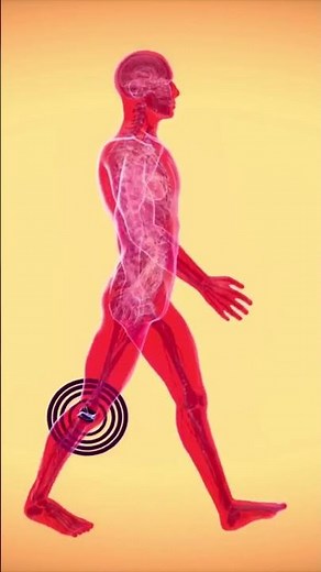 7 Health Benefits of Olive Oil You Didn't Know About