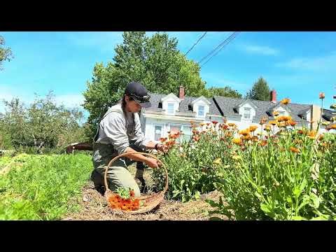 Open Farm Day - Hayes Farm (NB)