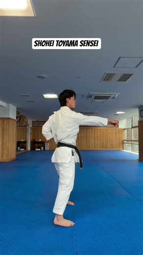 The Secret to Heavy Punches | Shohei Toyama Sensei 🥋 #karate