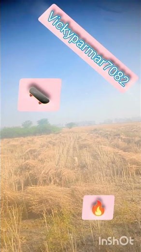 Skateboarding Bulldog: Most Talented Dog Ever? 🛹