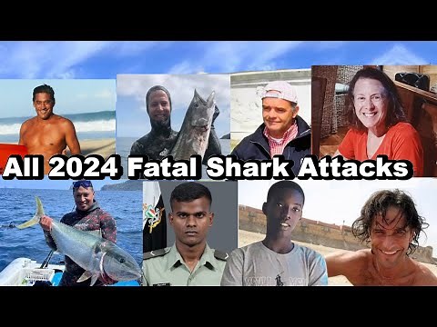 All 2024 Fatal Shark Attacks