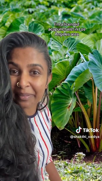 Benefits of Taro Root: Natural Healing and Wellness Boost