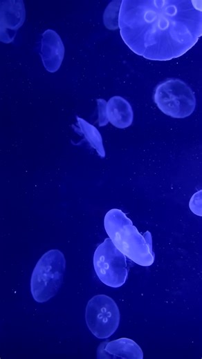 Winters Devoid - Drown Out now!