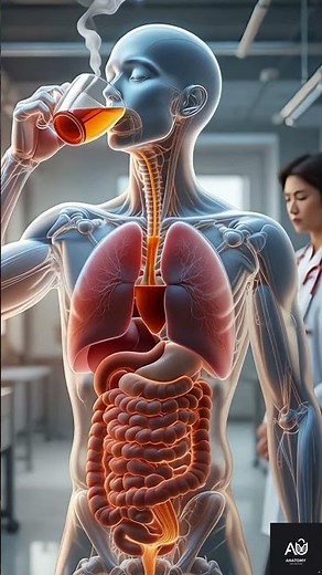 Inside the Human Body Science in Motion#medical #foryou#3danimation#sciencetok#humanbody#healthfacts