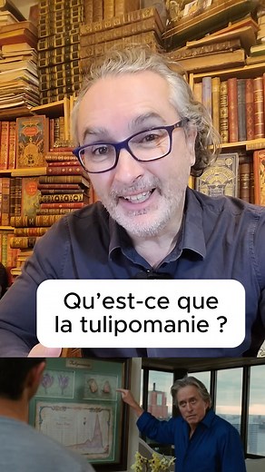 Qu’est-ce que la tulipomanie ? Au XVIIe siècle, les Hollandais se sont pris de passion pour la tulipe dont les premiers bulbes ont été rapportés de Turquie par l’ambassadeur d’Autriche. Cultivées sur les terres humides et sablonneuses qui s’étendent le long de la mer du Nord, les tulipes sont considérées comme des fleurs aristocratiques. En plein âge d’or, les marchands s’enrichissent et, à partir de 1634, les prix s’envolent pour atteindre des niveaux insensés. L’année suivante, un bulbe vaut 3