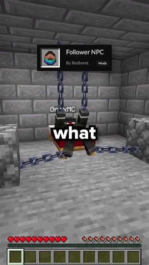 Minecraft Followers Turn Into NPCs #tiktok #minecraft #minecraftmemes | minecraft