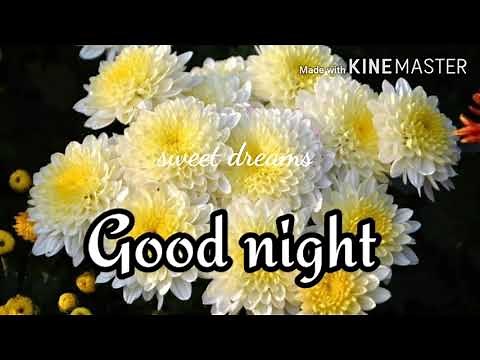 Good night sweet dreams 🌹 good night images video with music just for you 🌹