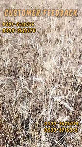 1.6K views | Customer Feedback | Satisfied Reaper Customer |...