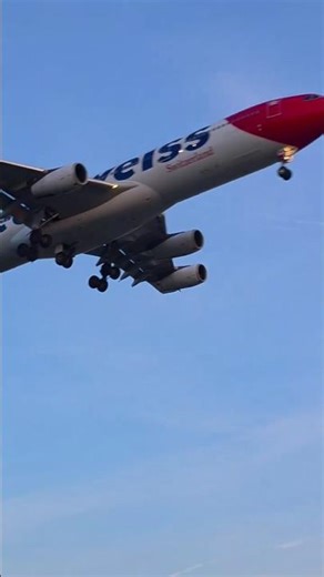 Edelweiss A340-300 Stunning Sunset Landing in Zurich Airport | Airbus A340 Pilot Greases Landing