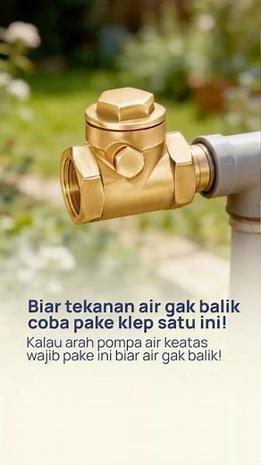 3/4 Inch Brass Fluid Check Valve: One-Way Flow, Safer & Longer Lasting!