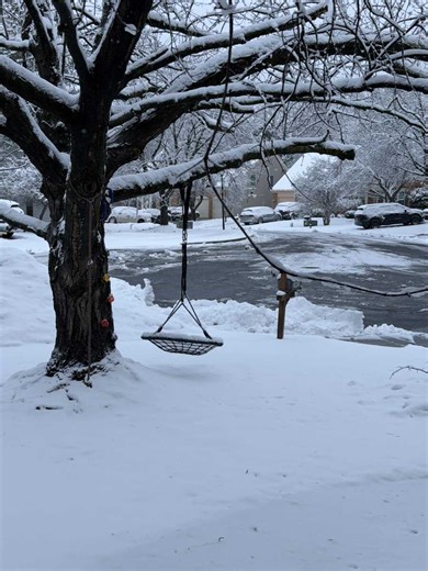 Monday Morning Snow Totals Across the DMV - The MoCo Show