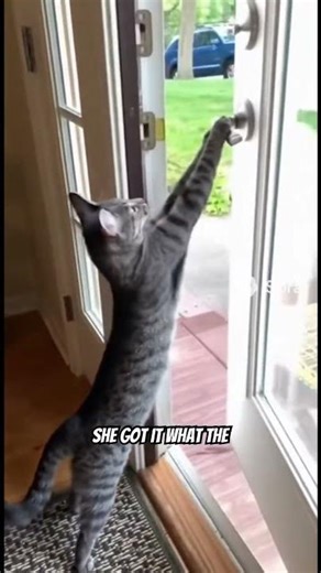 The Case of the Self-Opening Door