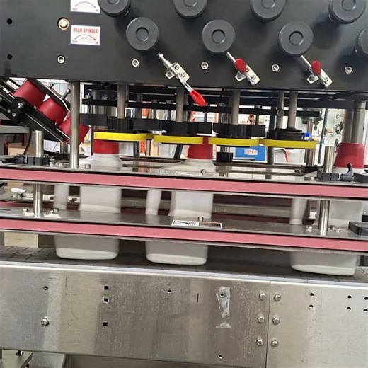 Apex Filling Systems -Detergent Capper -Over Cap Capper