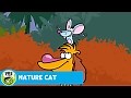 NATURE CAT | The Small But Big Art Fair | PBS KIDS