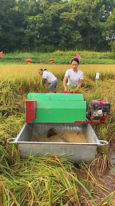 97K views · 609 reactions | Rice thresher with gasoline engine. #backbone #rice #ricemill | Backbone Machinery-Factory | Facebook