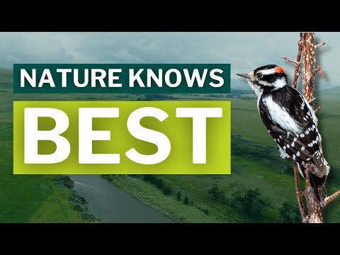 How Can Nature Protect the Water We Rely On?
