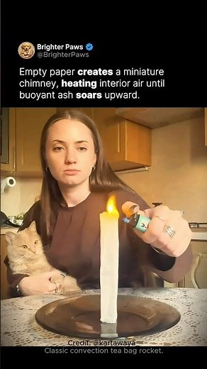Kitchen science with a feline supervisor