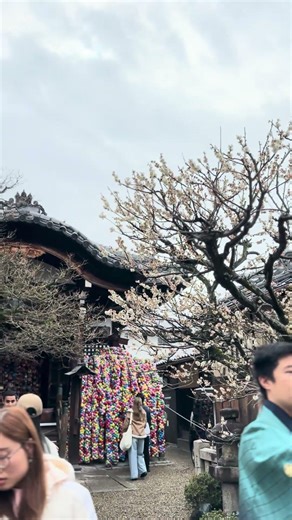 Tokyo Kyoto Temple Life ⛩️🇯🇵 | Japan Cultural Walk