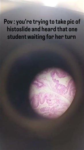 histology slide #medico #microscope #histology #neet #funny #content #doctor #viral #ytshorts