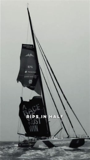 Sail design & choices: high stakes for a high performance? 😨