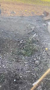 Power rake tutorial! Part 02 #home #driveway #work #foryoupage #foryou #skidsteer #skidsteering #powerrake #viral #homeimprovement #homemade #diyproject | LLja Caldwell