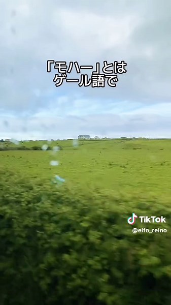 TikTok - Make Your Day