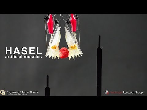 HASEL artificial muscles for next-generation soft robotics