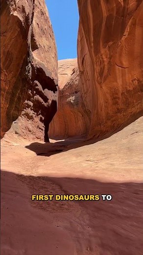 The Abrictosaurus: Unveiling Early Jurassic Southern Africa