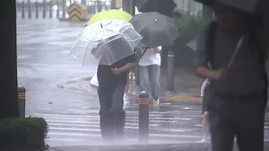 Seoul residents worry as Typhoon Khanun makes impact