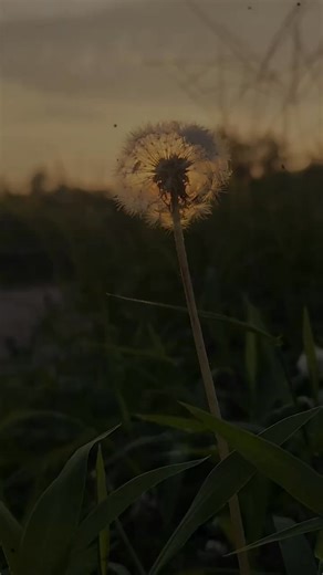 Why staying single is the best thing you can do. | KnowTales