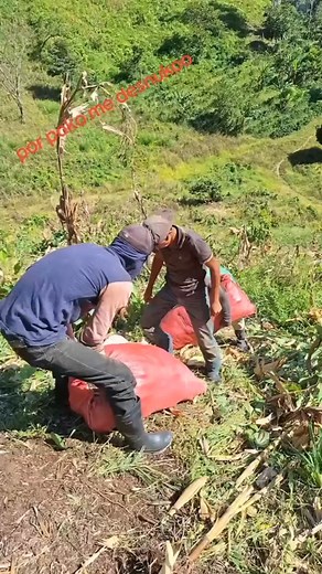 4.4K reactions · 2.6K shares | // Mi primera chamba 藍藍藍 | Plataforma Conexion - Radio y TV | Facebook