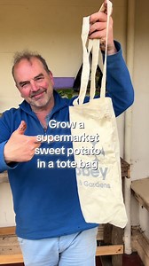 Grow a Sweet Potato in a Tote Bag: Vertical Space-Saving Guide
