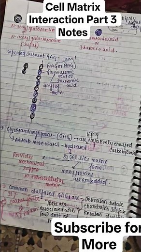 Cell Matrix Interaction Part 3 #csirnetlifescience #csirnetexam #csirnet