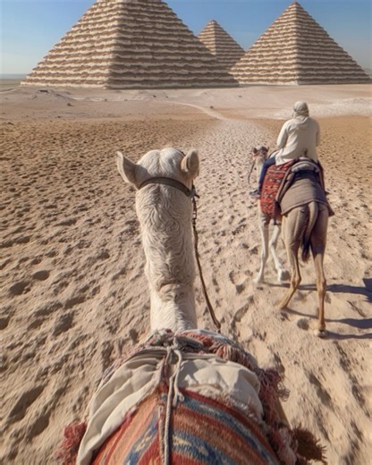 vertex.cgi on Reels | Facebook