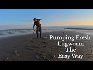 Learn how to bait pump your own Fresh lugworm like a pro