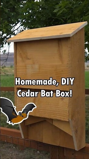 Benefits of Having Bats On Your Home - DIY Bat Box #bats #mosquitocontrol #homestead