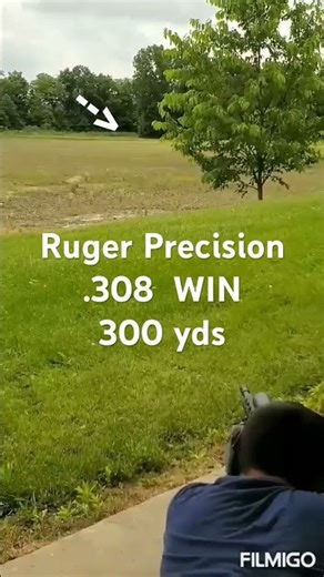 300 yd shot with a Ruger Precision in.308 Winchester.