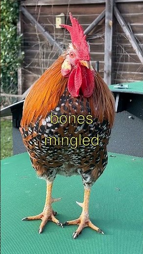 SCARY Real-life cannibalism cases throughout history That Actually Happened