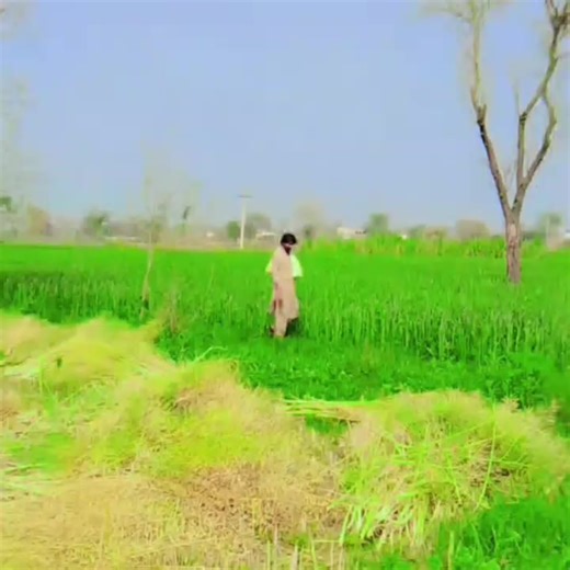 raja imran 1067 (@rajaimran1067)’s videos with original sound - raja imran 1067