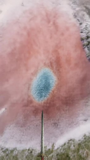 Discovering Animal Footprints in Nature