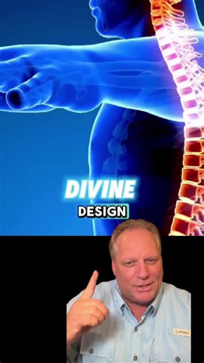 Discover how God left His signature in our bodies—DNA, 12 ribs each side, 33 vertebrae—and why it matters for your identity in Christ. #GodsDesign #BodyOfChrist #KingdomIdentity | Dallas Morris Ministries