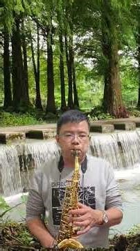 鳳飛飛 流水年華 Alto 練習短片