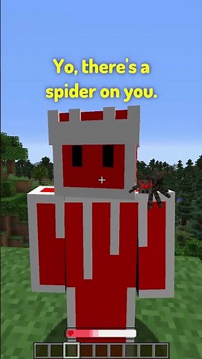 If Minecraft Was Realistic