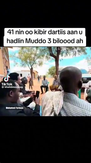 Cultural Connections: Celebrating Diversity and Community