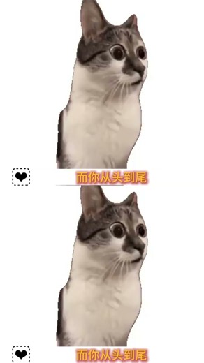 什么叫魂游系galgame#二次元 #游戏 #galgame #魂游
