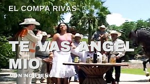 El Compa Rivas - Te Vas Angel Mio Escúchala completa en: https://musica.elcorridotv.com/f8TS Disponible ya el álbum de El Compa Rivas "Te Vas Angel Mio": https://musica.elcorridotv.com/f8TZ #tevasangelmio #elcomparivas #rivaselcentauro #banda #rancheras #norteño #patomar #rolon #clasicos #regionalmexicano #campirano #corridos | Titan Records