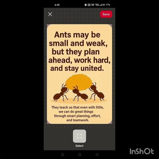 Plan like ants #motivationalquotes #inspirationalquotes #motivation #motivational #inspiration#reels