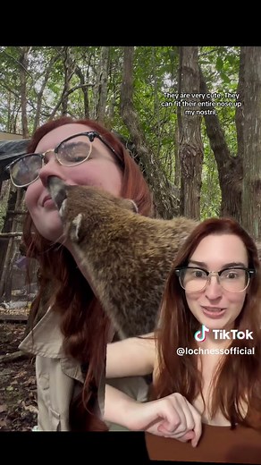 Exploring Coatis: Facts About Their Habitat and Behavior